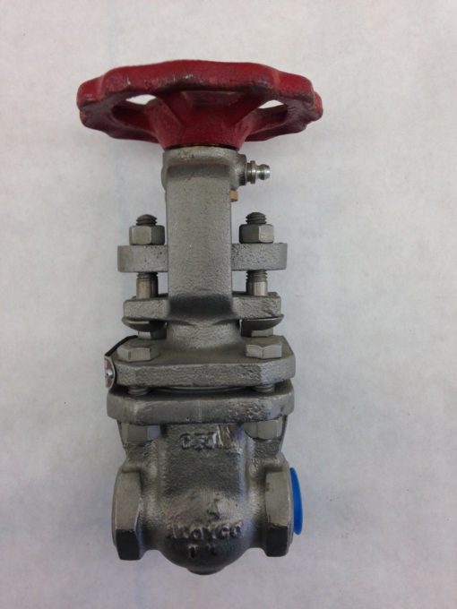 ALOYCO 19789 GATE VALVE CFM3 (B429) 1